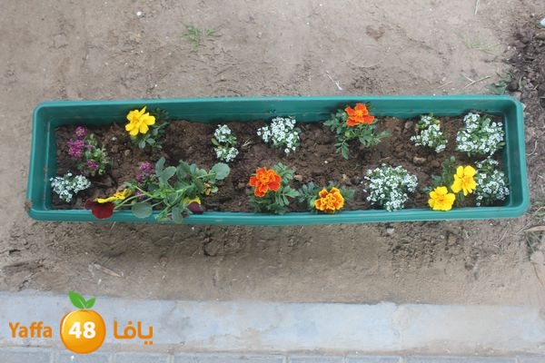 zohormasjednoor34 (65).JPG